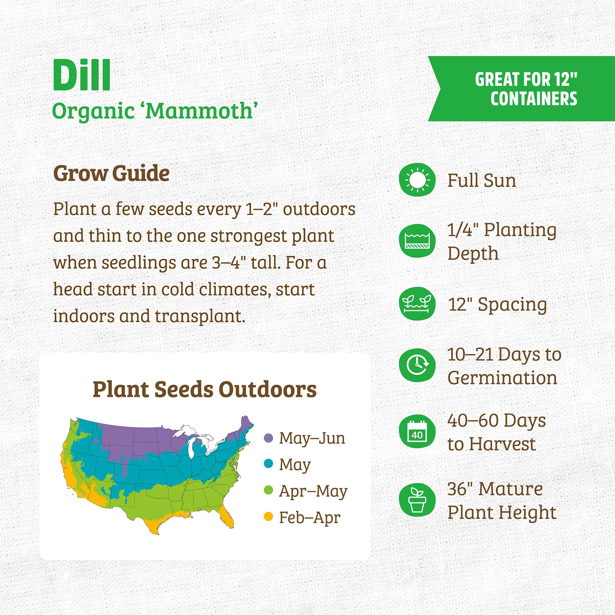 Back to The Roots 100% Organic Seed Packet - Dill 'Mammoth' 1g - Image 3