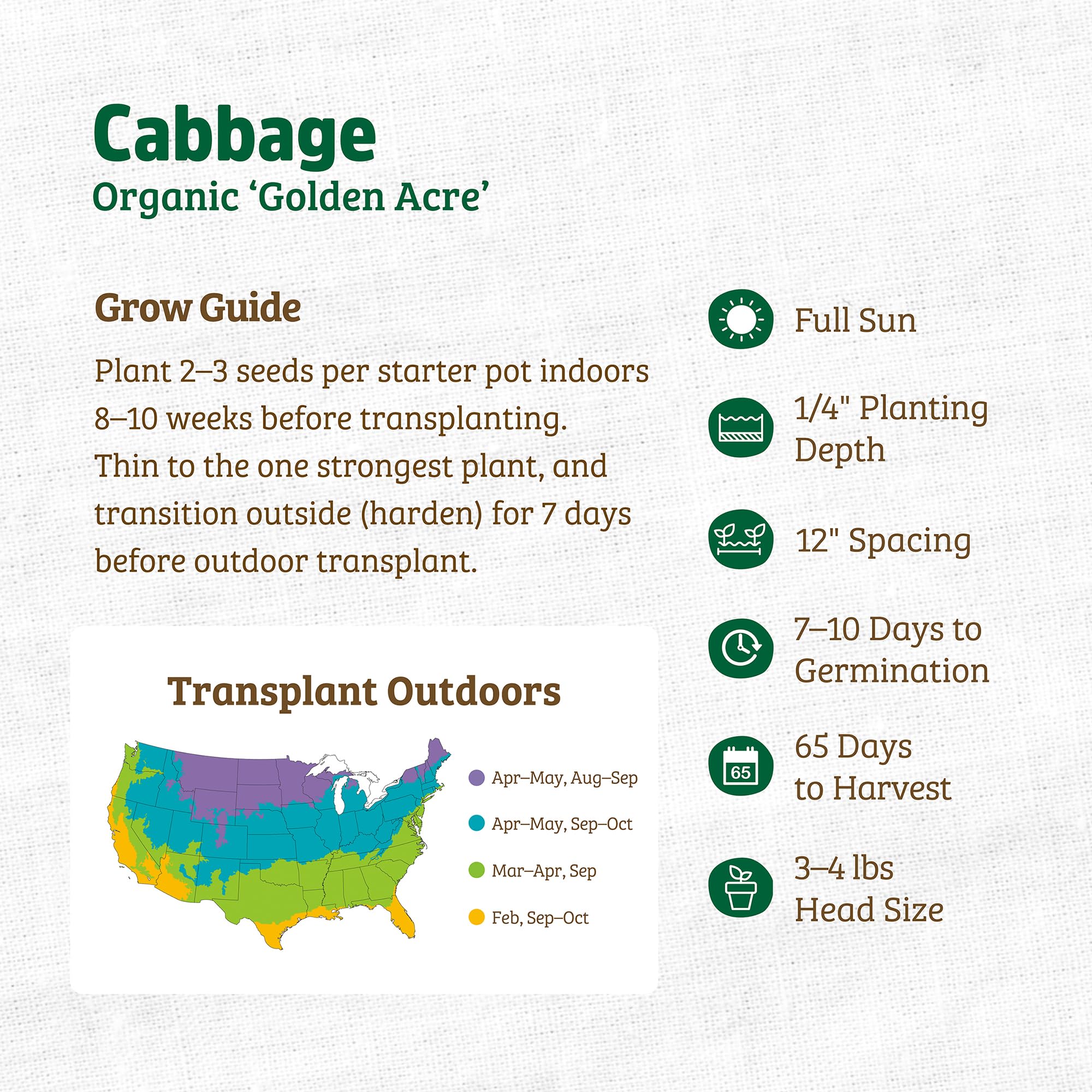 Back to The Roots 100% Organic Seed Packet - Cabbage 'Golden Acre' 140mg - Image 3
