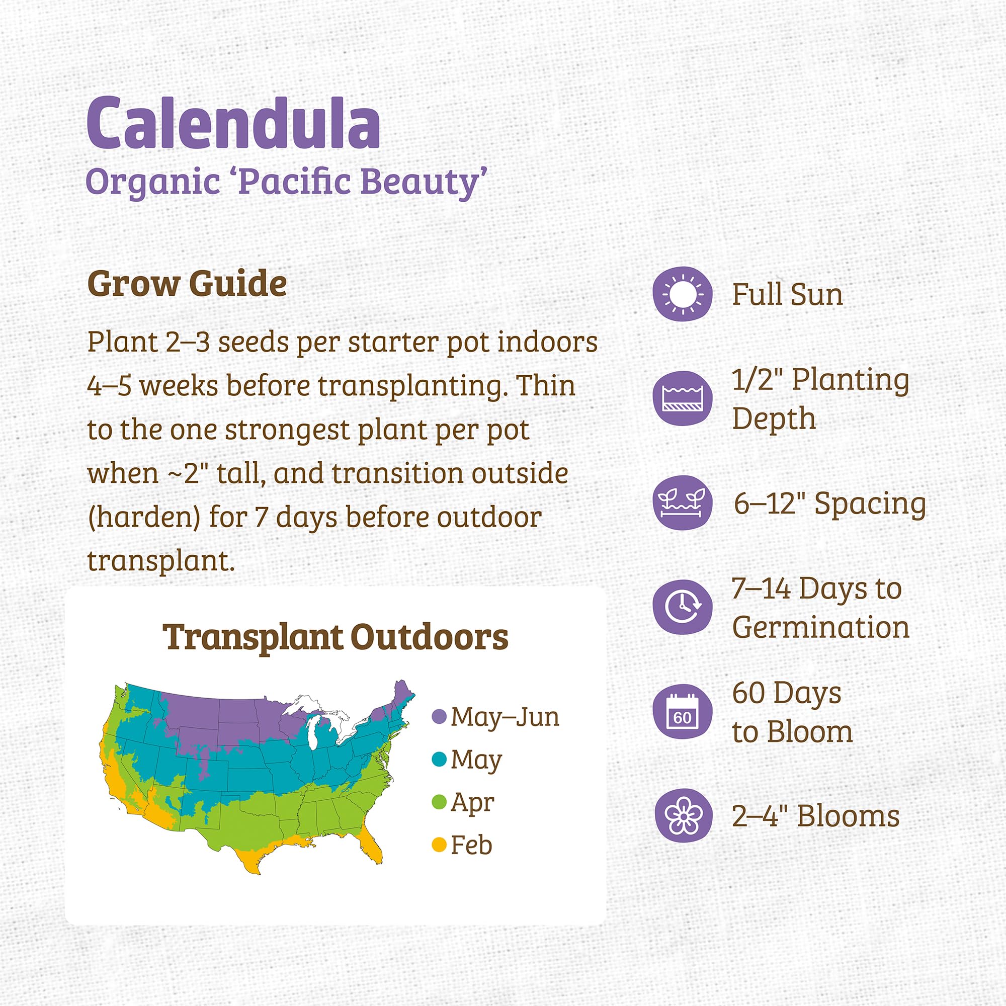 Back to The Roots 100% Organic Seed Packet - Calendula 'Pacific Beauty' 300mg - Image 3