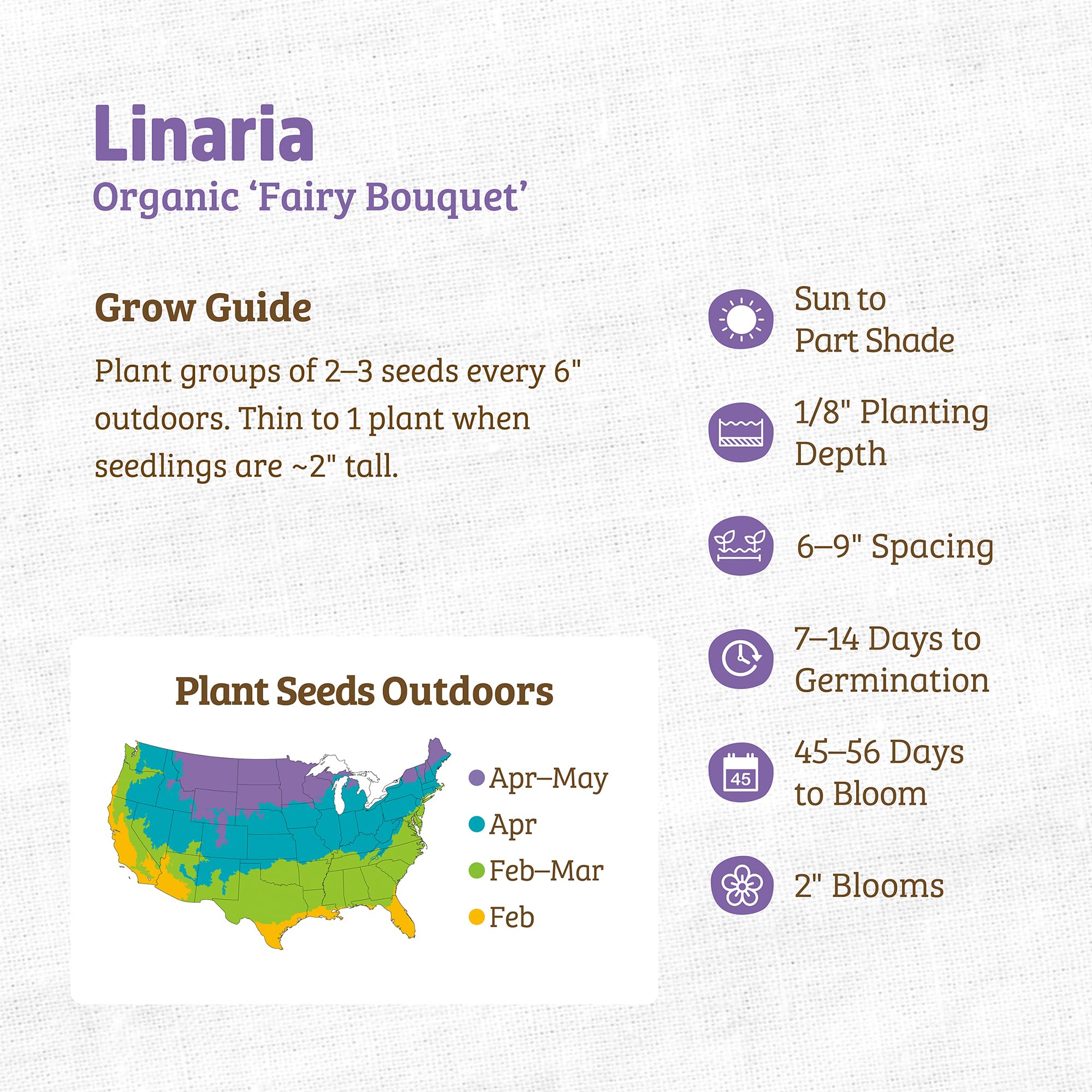 Back to The Roots 100% Organic Seed Packet - Linaria 'Fairy Bouquet' 50mg - Image 3