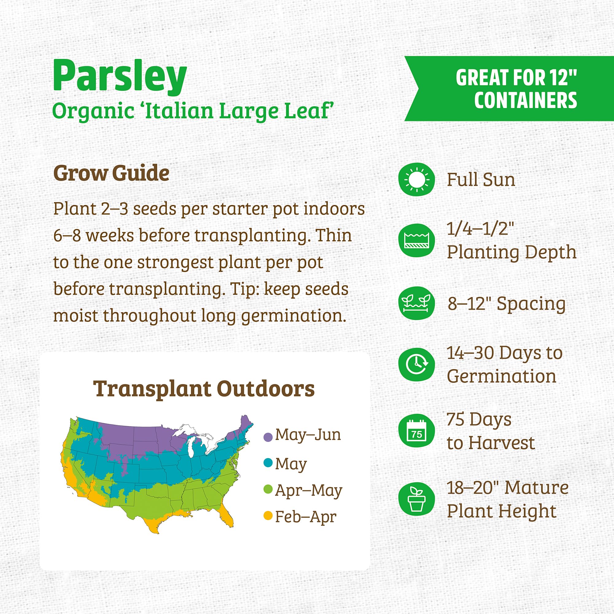 Back to The Roots 100% Organic Seed Packet - Parsley 'Italian Large Leaf' 420mg - Image 3
