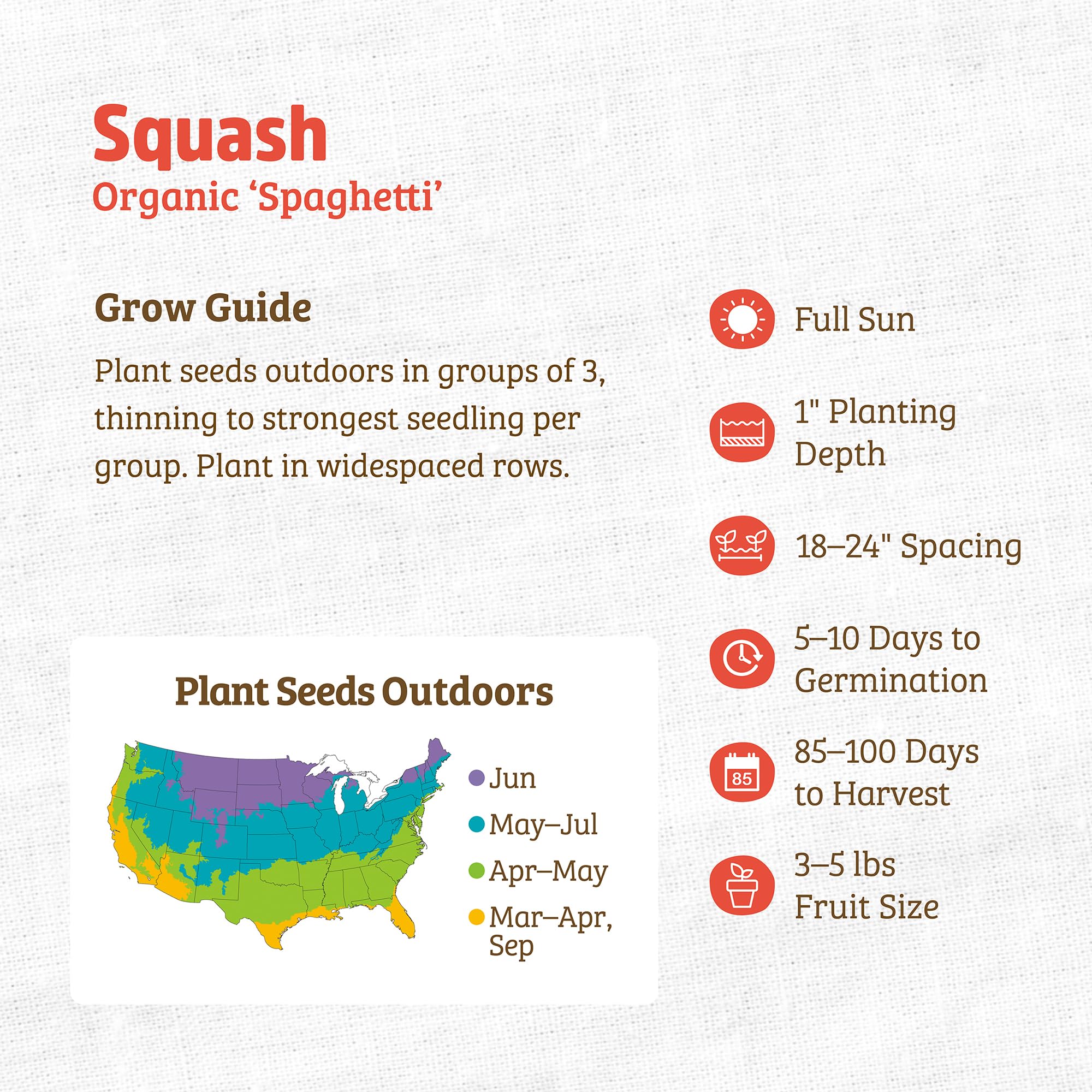 Back to The Roots 100% Organic Seed Packet - Squash 'Winter Vegetable Spaghetti' 2.8g - Image 3