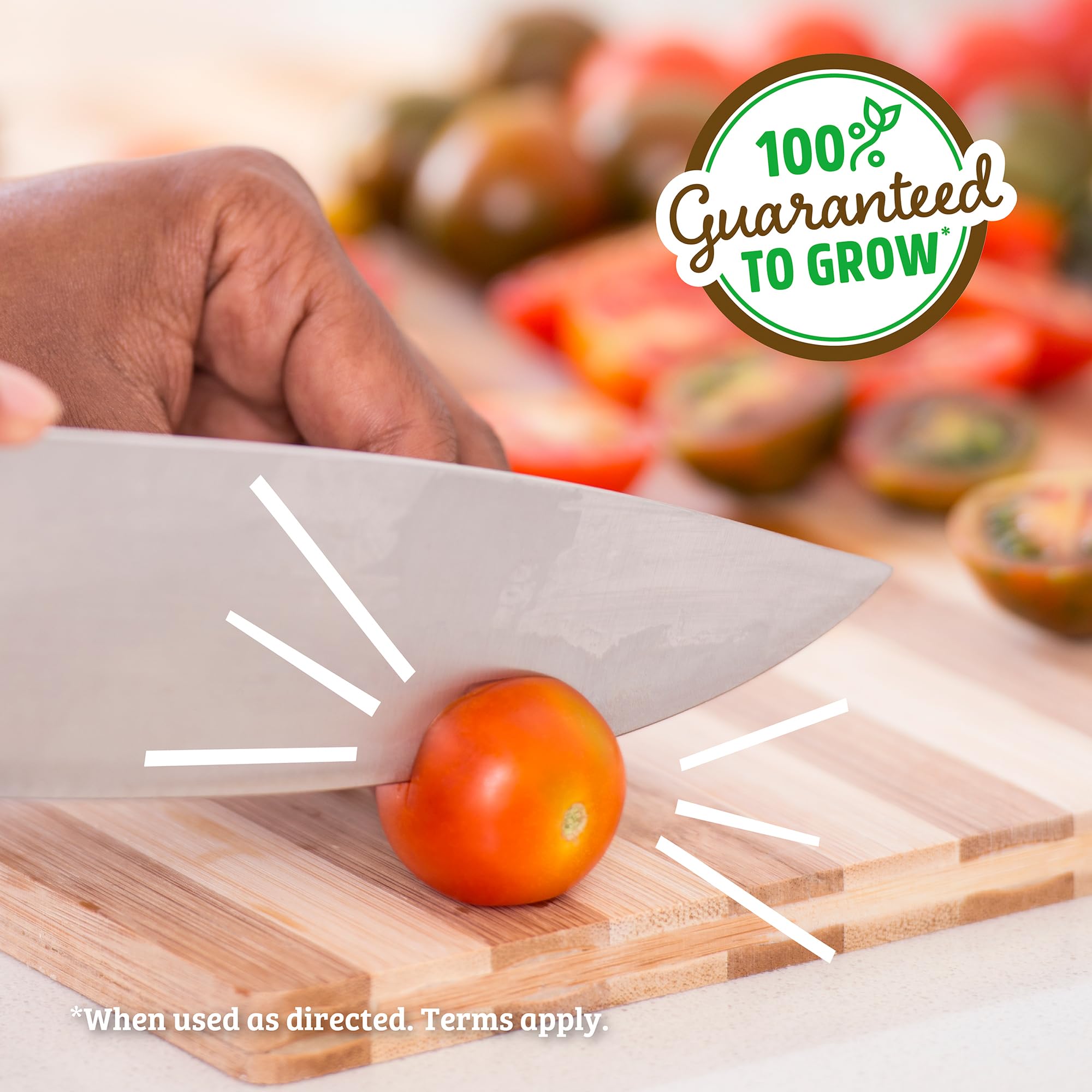 Back to the Roots Cherry Tomato Organic Windowsill Planter Kit - Grows Year Round, Includes Everything Needed For Planting - Image 5
