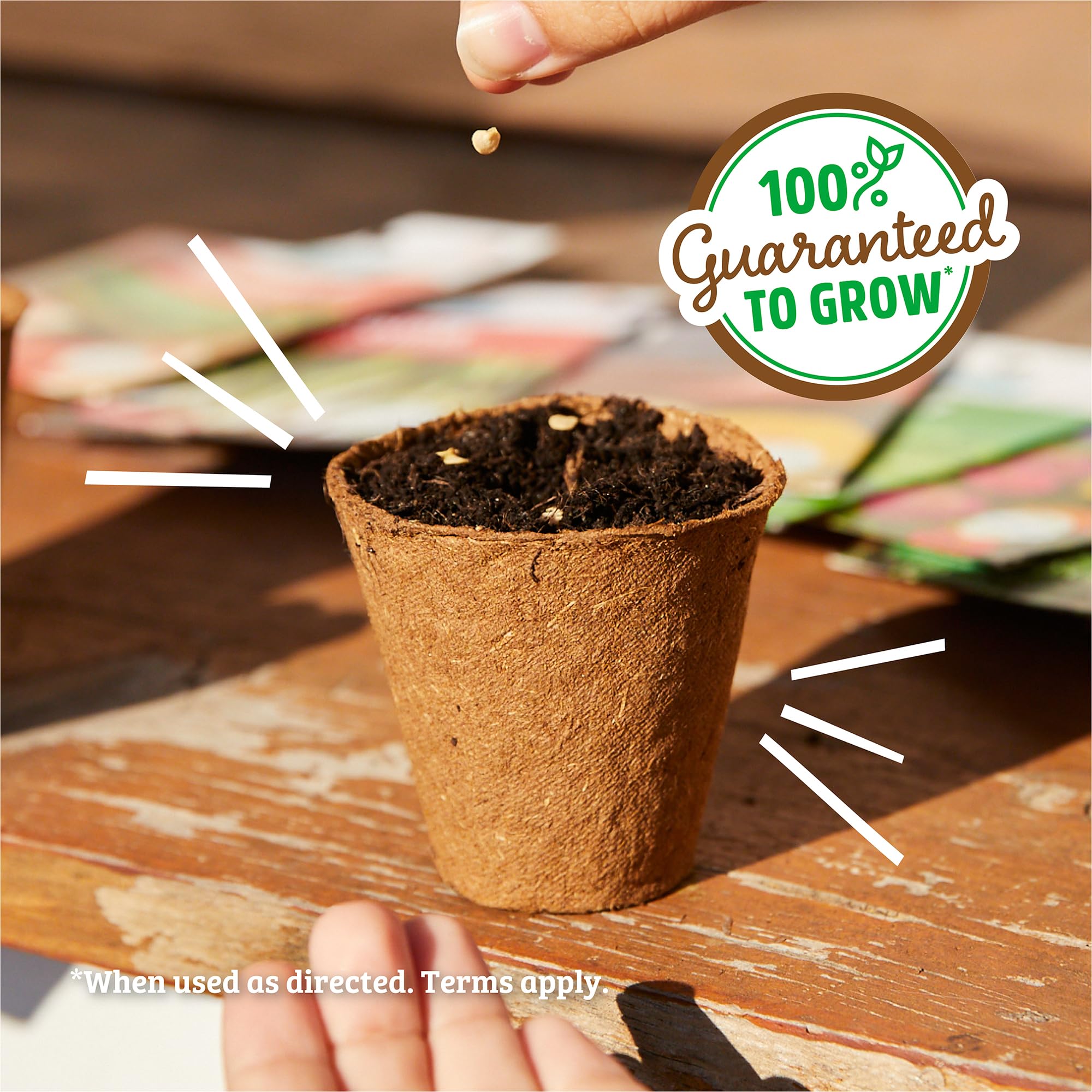 Back to The Roots 100% Organic Heirloom Seeds - Mammoth Giant Sunflower Value Pack (4.8g) - Image 6