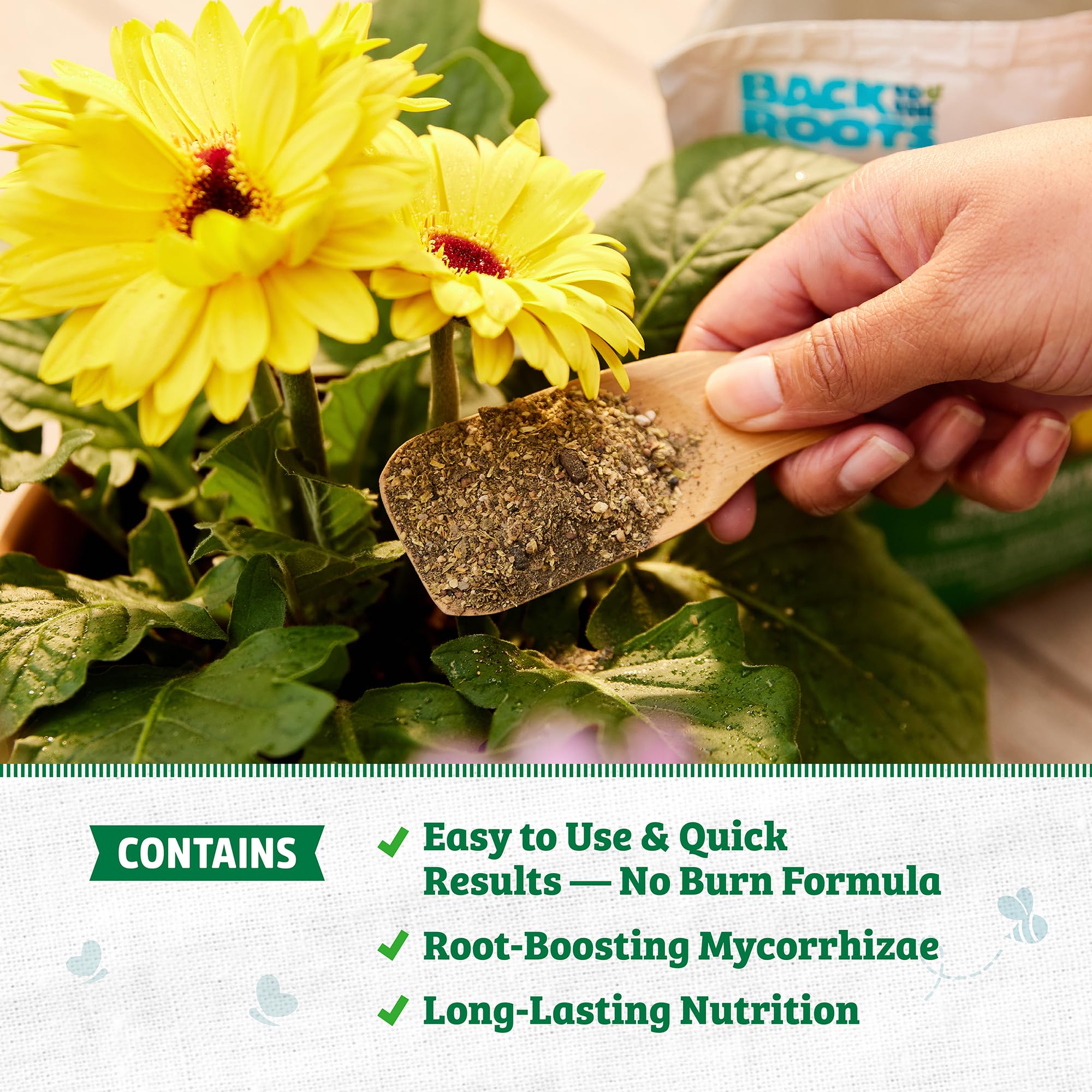 Back to The Roots Organic All-Purpose Plant Food (5 lb. Value Size), Premium Blend, Safe & Sustainable Vegan Formulation Made with Kelp and Alfaalfa Meal, Mycorrhize, and Rock Phosphate Minerals - Image 4