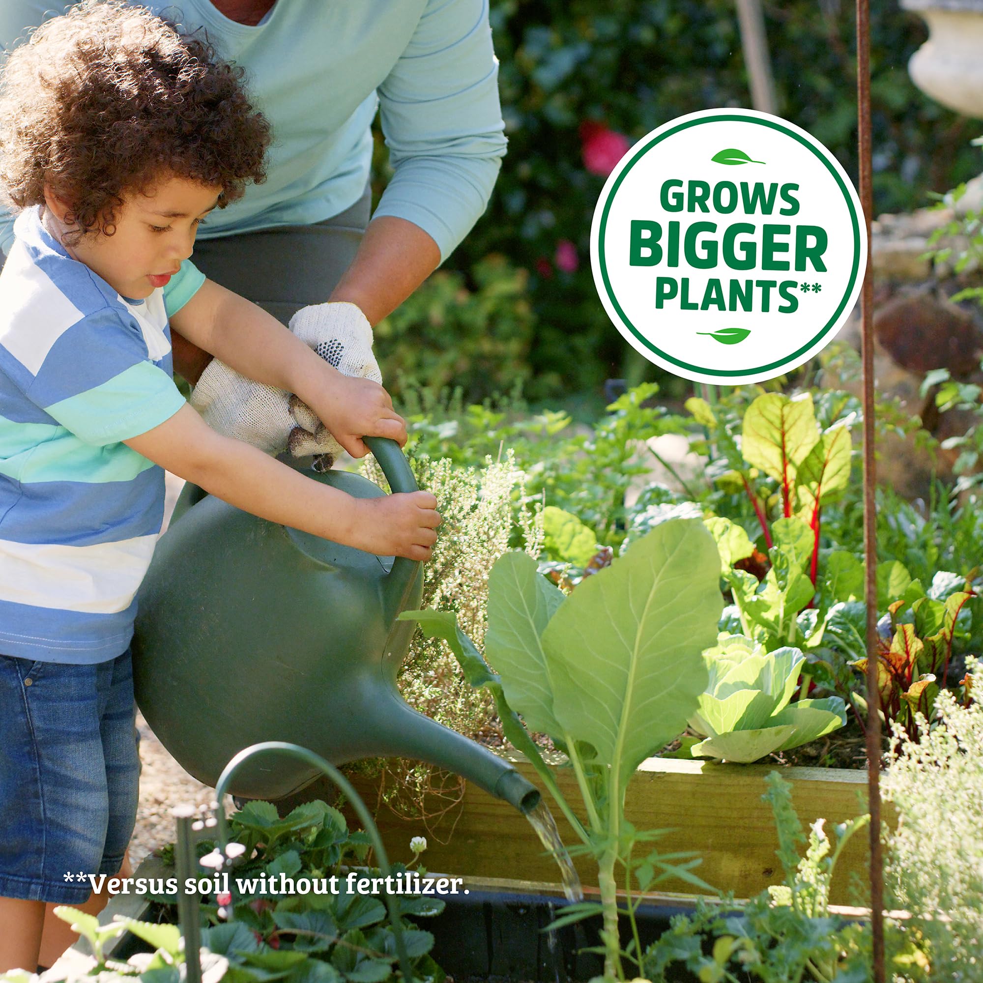 Back to The Roots Organic All-Purpose Plant Food (5 lb. Value Size), Premium Blend, Safe & Sustainable Vegan Formulation Made with Kelp and Alfaalfa Meal, Mycorrhize, and Rock Phosphate Minerals - Image 5