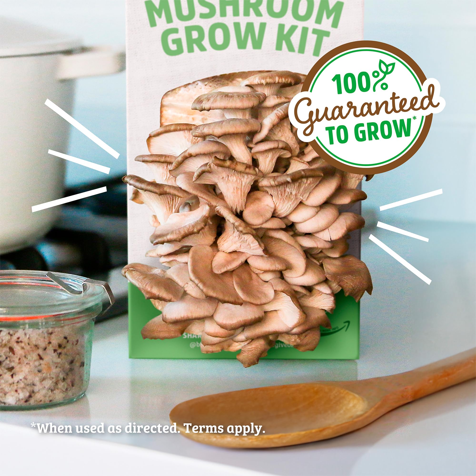Back to the Roots Organic Oyster Mushroom Grow Kit, Harvest Gourmet Mushrooms In 10 Days - Image 5