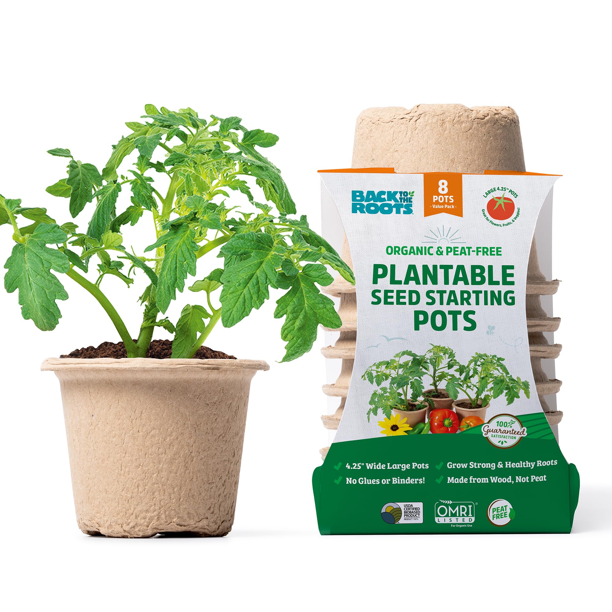 Seeds
