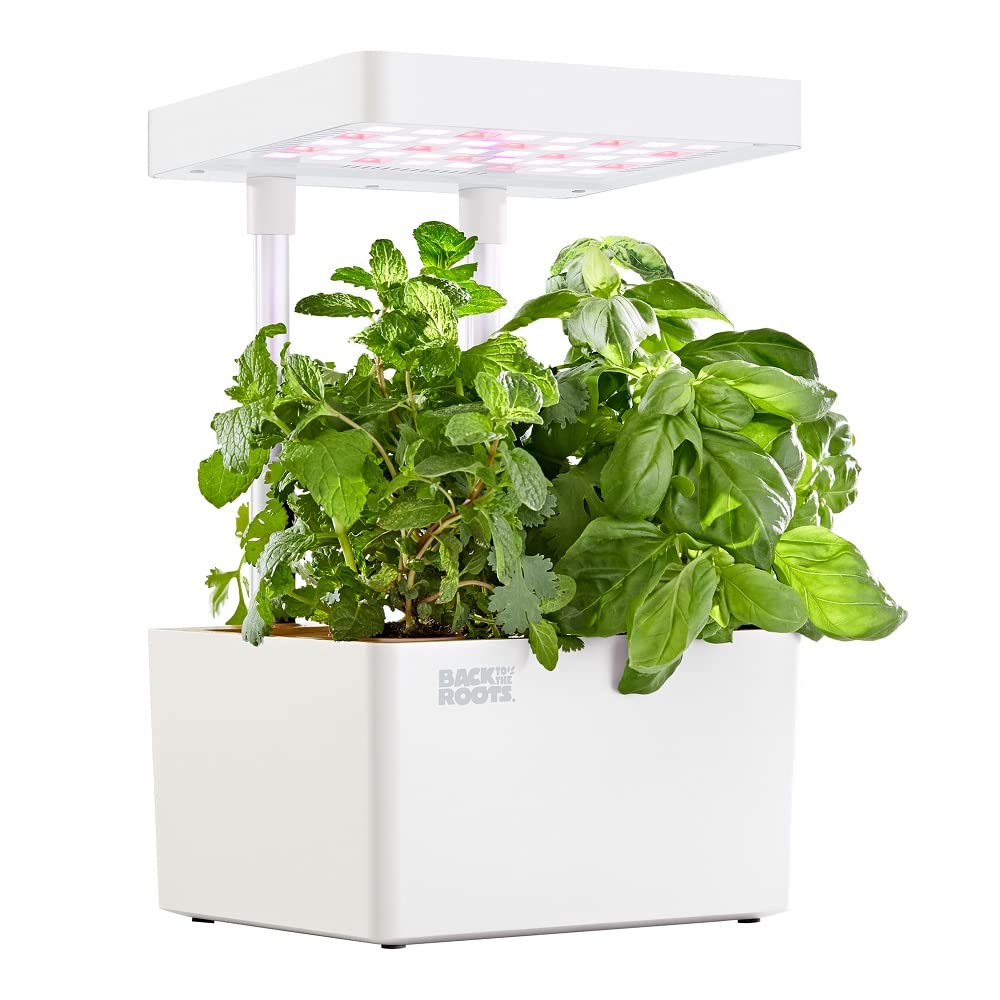 Self-Watering Fish Tank